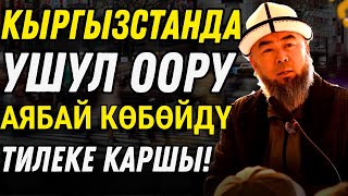 видео: ОРЛИНОЕ АЙЫЛЫ. ЭРКЕКТИҢ ЭН ЖАМАНЫ ЭЛ БАГАТ ДЕЧҮ ЭЛЕ, АЗЫР ҮЙ-БҮЛӨСҮН БАГА АЛАБЫ? картинка: ОРЛИНОЕ АЙЫЛЫ. ЭРКЕКТИҢ ЭН ЖАМАНЫ ЭЛ БАГАТ ДЕЧҮ ЭЛЕ, АЗЫР ҮЙ-БҮЛӨСҮН БАГА АЛАБЫ?