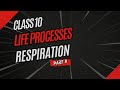 Respiration | Life Process Class 10 Part 8🔥 | Krishna Education Center