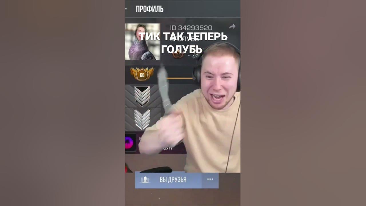 #Тик так голубь - YouTube
