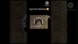Mgm Lion Television