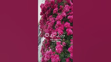 قال رب اشرح لي صدري | سورة طه | القارئ محمد صديق المنشاوي