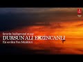 Dursun Ali Erzincanlı "FON MÜZİKLERİ" ( 47 Enstrümantal )
