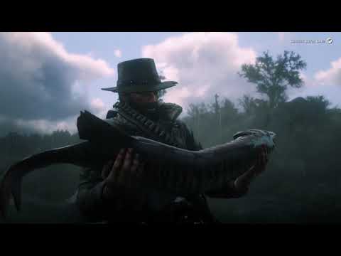 RDR2 Supercut - Dec-Aug 2021