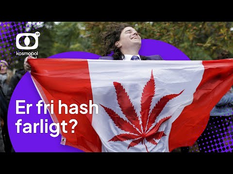 Video: Kan dyrlæger ryge hash?