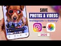 How to Save Videos from Instagram to Gallery - 2026 [UPDATED]