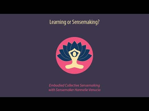 What is  "Sensemaking or Learning"?