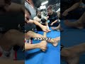 格闘家が毎日すねを削る理由
