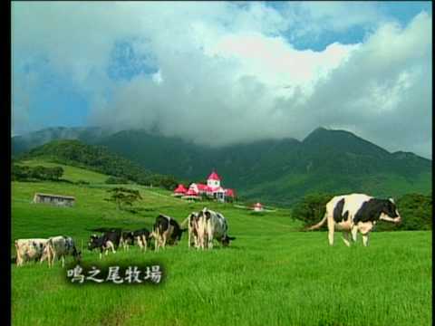 サン・インテリア テレビCM