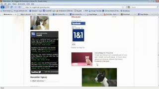 Intro to 1&1 MyBusiness Site Basics