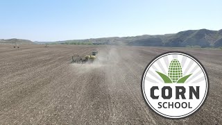 Corn School: Yield-boosting strategies heading into a dry year