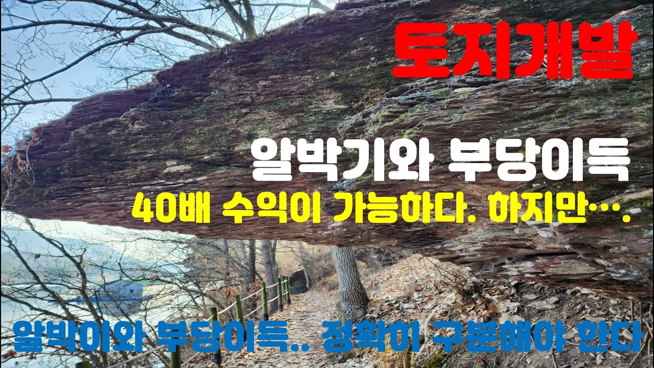 토지개발. 알박기(알박이)와 부당이득을 구분하시나요? - YouTube