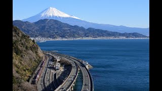 東海道本線富士山バックに往くEF64・EF66貨物列車