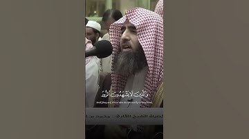 {وكان الله غفورا رحيما} محمد اللحيدان#قران كريم #فلسطين #اليمن #غزة #اكسبلور #لايك #الجزائر#متابعه