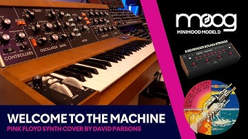 Minimoog Model D - Welcome to the Machine - Pink Floyd synth Cover