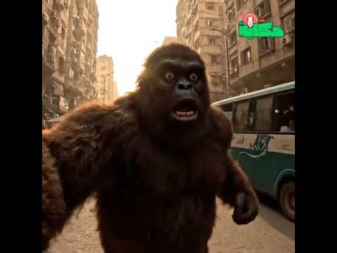 كلنا شوفناه بيجري بس لحد دلوقتي مش عارفين هو بيجري ليه 