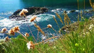 🇪🇸 🌊 Sada (Costa Doce) (Tráiler) #Senderismo #Galicia #España