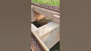 what is the distance between two rails?