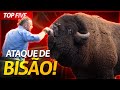 OS CINCO MAIORES SUSTOS QUE JA TOMEI COM ANIMAIS SELVAGENS! | RICHARD RASMUSSEN