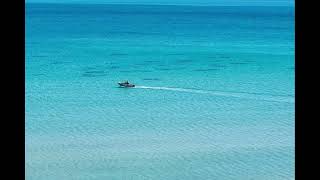 Download Lagu Nine Lashes- Anthem of the Lonely 1 hour MP3