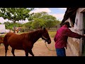 ZEZINHO DE TACAIMBÓ - UM DOS GRANDES VAQUEIROS DO INÍCIO DA VAQUEJADA!!