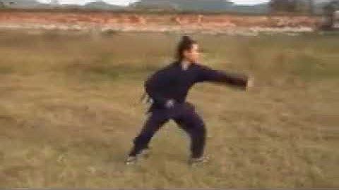 Wudang Xing Yi Quan by Master Chen Shiyu