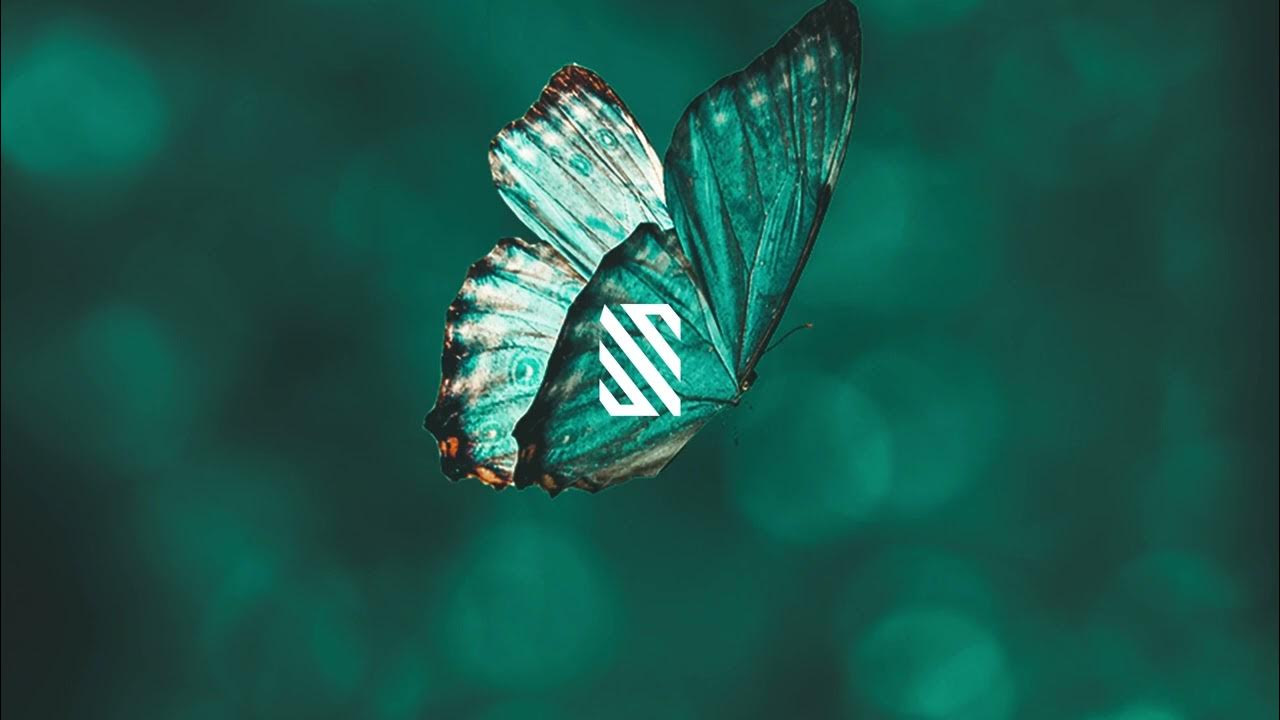 Виталий синицын вологда. Удача песня слушать. Анатолий полотно и федя карманов. Полотно. Удача песня слушать.