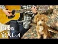 家入レオ - 「Relax」(ギター弾き語りカヴァー)