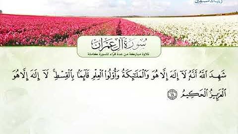 سورة ال عمران 1 الى 29
