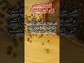 ما لا تعرفه عن الكبابة الصينى