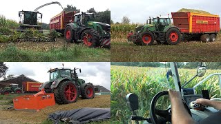 Mais hakselen en inkuilen door loonbedrijf Veltink met Claas Jaguar 940 en Fendt trekkers (2023)