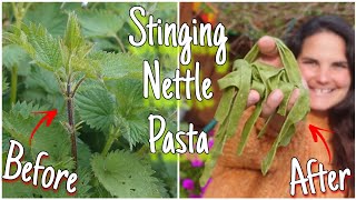 How To Make Stinging Nettle Pasta! 🍲 Traditional Wild Food Recipes by Home Is Where Our Heart Is 4,891 views 1 year ago 11 minutes, 14 seconds