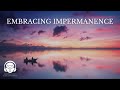 Embracing Impermanence with Scott Snibbe