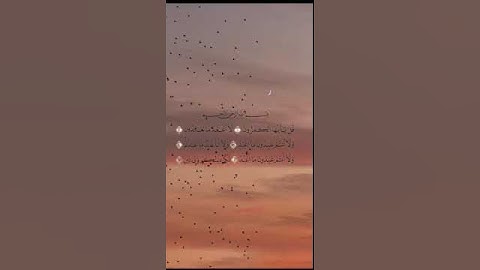 سورة الكافرون بصوت الشيخ أحمد العجمي #أحمدالعجمي #قرآن #تلاوةخاشعة #تلاوة