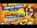 10 top human foods super healty for dogs that most pet parents don’t know #dog #doghealth #pets