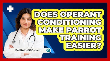Does Operant Conditioning Make Parrot Training Easier? - PetGuide360.com
