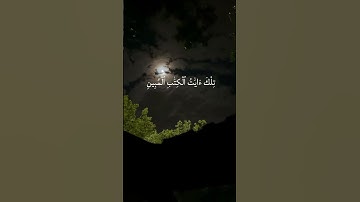 سوره يوسف #قران_كريم #المصحف #لايك #اسلامصبحي #اكسبلور #عبدالرحمن_مسعد #الرحمن #اعتني #تلاوة_خاشعة