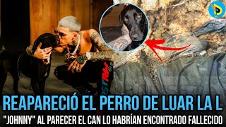 Reapareció el perro de luar la l "Johnny" Al parecer el Can lo habrían encontrado fallecido