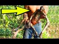 Scientist Finds A Decades Old Puzzle Hidden In The Rainforest ! WATCH WHAT HAPPEND! incredible stori