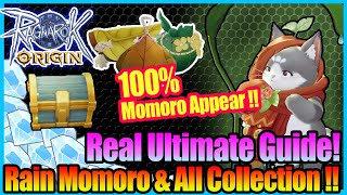 Real 100% Rain Momoro + All Treasure & Chest Detailed Guide with Map!! [Ragnarok Origin Global]