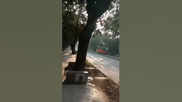 Ignou Solved Assignment ESO 16 2018-19