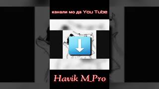 Havik M_pro