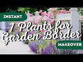 Drab to fab the 7 best garden border plants for instant wow factor 