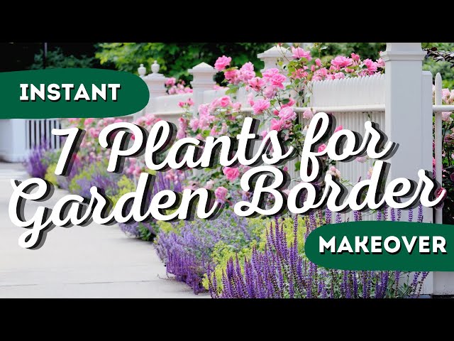 Drab to Fab: The 7 Best Garden Border Plants for Instant Wow Factor! 👍 class=