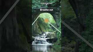 4-6 Breath to Calm Your Nervous System
