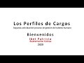 Los Perfiles de Cargos | Curso Virtual | Ibet Bustamante |