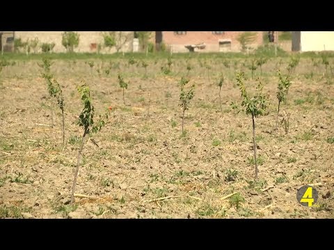 მიწის რეგისტრაციის ვადები 19.06.2019