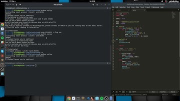 PICO CTF 2018 - echooo (format string)