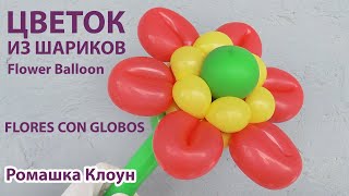 ЦВЕТОК ИЗ ШАРИКА Balloon Flower DIY Flores con globos