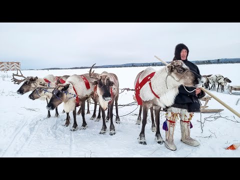 Видео: Эти братья не ездят, а летают. Гонщики Хатанзеевы! |Изьватас олэм