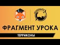 Терриконы [Фрагмент урока в Фоксфорде]